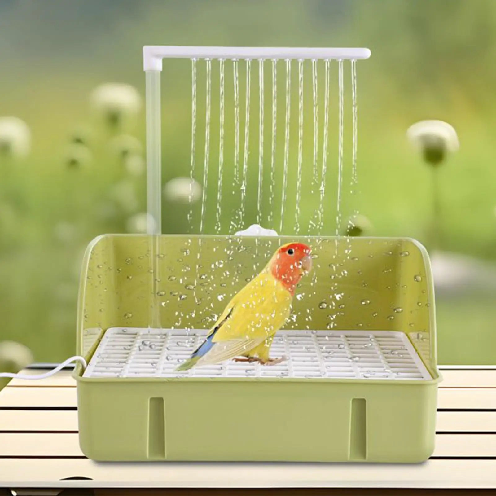 Automatic Bird Bath Fountain