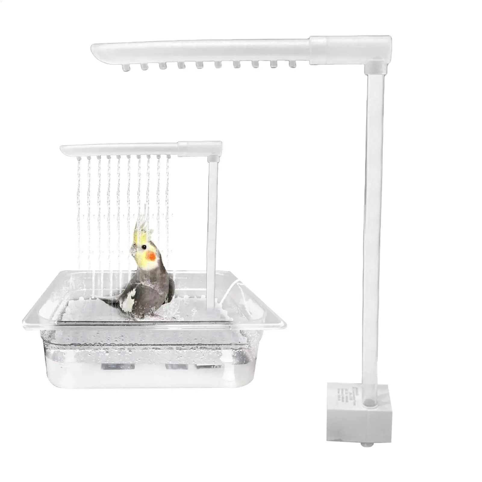 Automatic Bird Bath Fountain