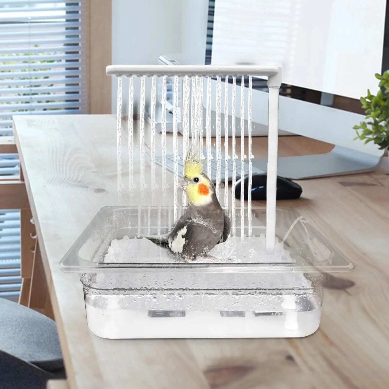 Automatic Bird Bath Fountain