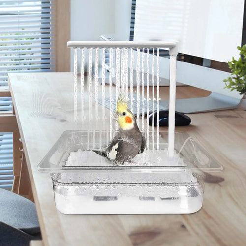 Automatic Bird Bath Fountain