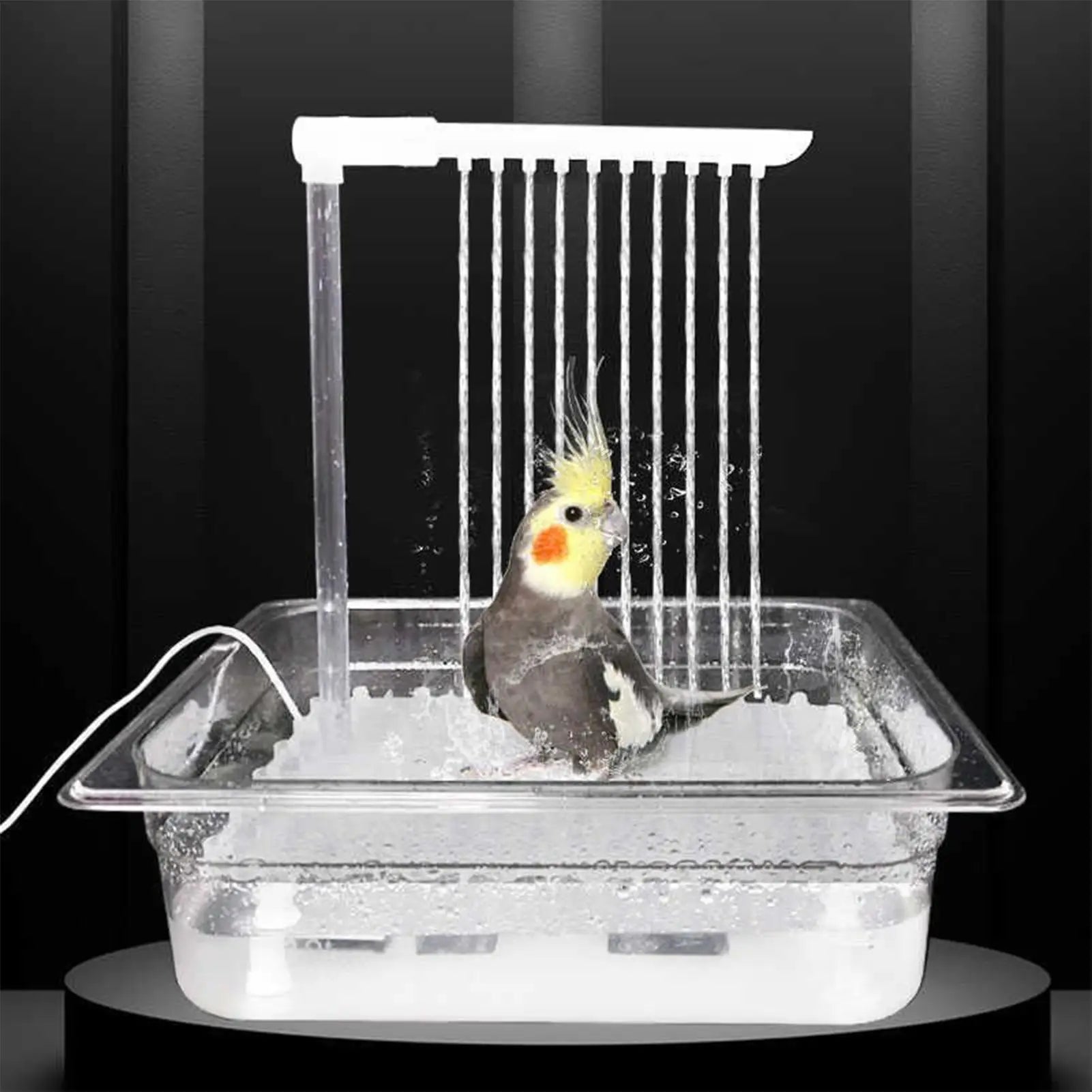 Automatic Bird Bath Fountain