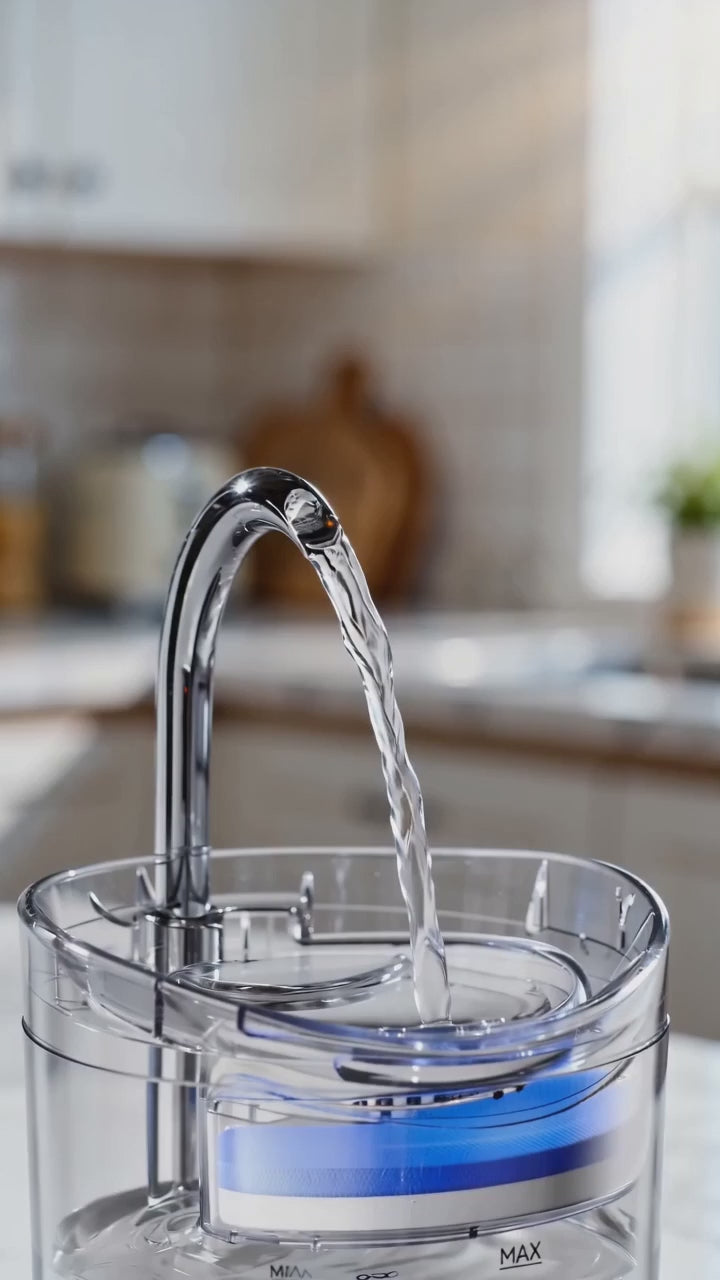 Auto Smart Cat Water Fountain